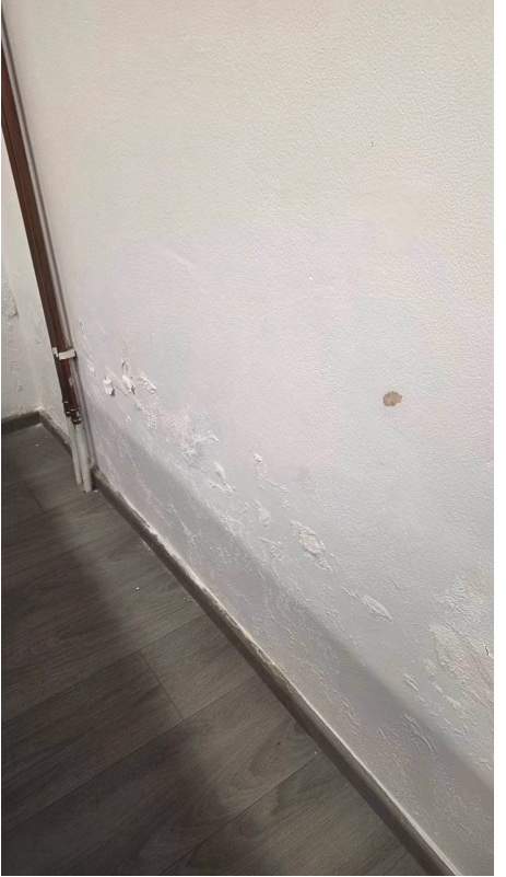 anti-schimmel-wand2